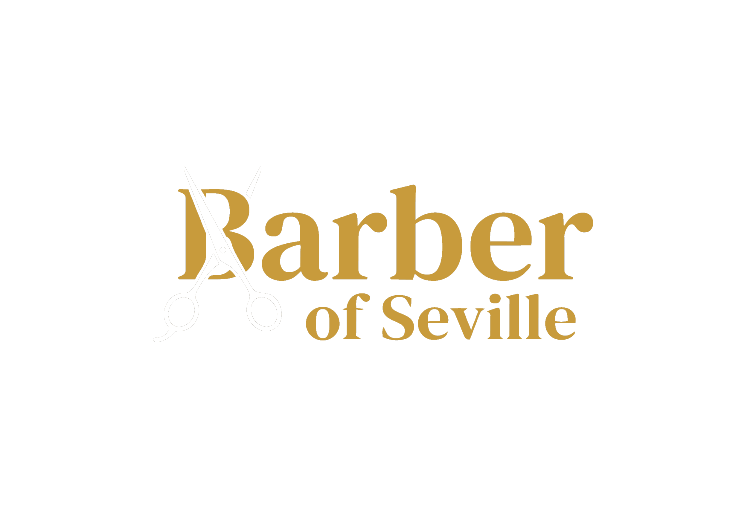 Barber Of Seville